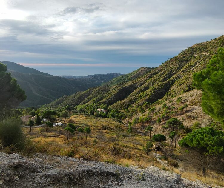 Paseo-yoga-sierra